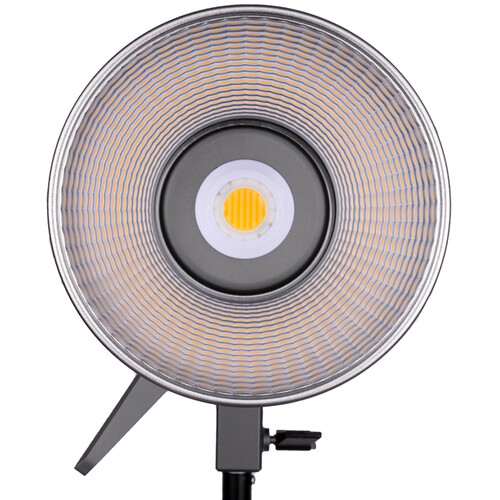 Amaran 100x Bi-Color LED Light - 3